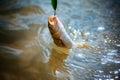 Bass fishing splash. Catching a big fish with a fishing pole. Lure fishing. Royalty Free Stock Photo