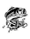 Bass fishing vector line art