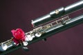 Bass Flute Rose Isolated on Purple Royalty Free Stock Photo