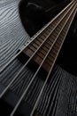 Bass guitar on the black Royalty Free Stock Photo