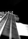 Bass guitar cords close up Royalty Free Stock Photo