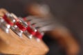 bass guitar head Royalty Free Stock Photo