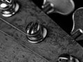 Bass guitar headstock and tuning peg closeup Royalty Free Stock Photo