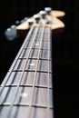 Bass Guitar Neck Royalty Free Stock Photo