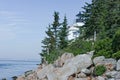 Bass Harbor lighthouse. and summertime, green trees Royalty Free Stock Photo