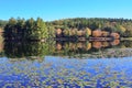 Bass Lake Blowing Rock North Carolina Autumn