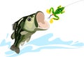 Bass and lure Royalty Free Stock Photo