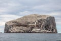 Bass Rock, world`s largest colony of northern Gannets. North Berwick Scotland UK Royalty Free Stock Photo