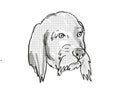 Basset Fauve de Bretagne Dog Breed Cartoon Retro Drawing Royalty Free Stock Photo