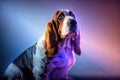 Basset Hound Background Burst Of Light Blue Purple. Generative AI Royalty Free Stock Photo