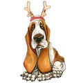 A basset hound breed dog in a Christmas hat, deer horns. Cute Christmas puppy. Santa Claus.