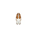 Basset Hound cartoon dog icon Royalty Free Stock Photo