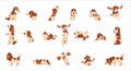 Basset Hound dog big set. Cute funny pet animal in various poses cartoon vector Illustration Royalty Free Stock Photo