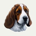 Basset Hound Dog. Vector illustration of a dogs head isolated on a plain background. Dog portrait Royalty Free Stock Photo