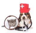 Basset hound puppy with stethoscope on his neck and kitten. isolated Royalty Free Stock Photo