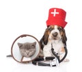 Basset hound puppy with stethoscope on his neck and kitten . on white Royalty Free Stock Photo