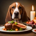 A Basset Hound sitting next to a table