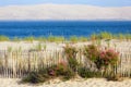 Bassin d`Arcachon landscape in France Royalty Free Stock Photo