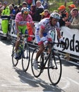 Basso at Tonale pass