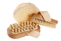 Bast and massage brush