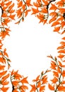 Teak flowers pattern