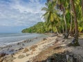 Lonely beach Royalty Free Stock Photo