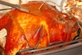 Basting Turkey 2 Royalty Free Stock Photo
