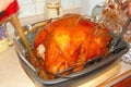 Basting Turkey 3 Royalty Free Stock Photo