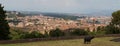 Bastion in Florence, image on the plateau. Royalty Free Stock Photo