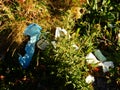 Basura y plasticos en la naturaleza