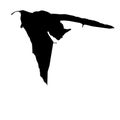 Bat bats nightbird Royalty Free Stock Photo