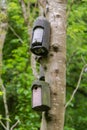 Bat box and bird box attached to tree