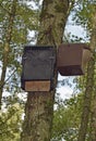 Bat box and Birdhouse