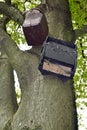 Bat Box and Bird house Royalty Free Stock Photo