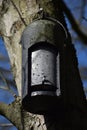 Bat box hanging on a tree in the forest Royalty Free Stock Photo