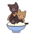 Kawaii kittens in bowl