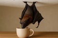 Bat drinking from a cup while hanging upside down in a cozy indoor setting Royalty Free Stock Photo