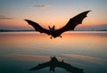 a bat flying over a lake at sunset Royalty Free Stock Photo