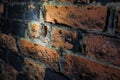 A bat hangs upside down in a dark disused tunnel Royalty Free Stock Photo