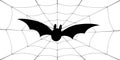 Bat icon. Bat wings, black web silhouette, isolated white background. Symbol Halloween holiday, mystery dark vampire