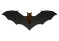 Bat isolated on white background,