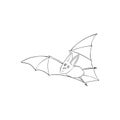 Bat is a nocturnal animal. A symbol of Halloween. The bat in flight