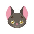 Bat portrait for multiple uses Royalty Free Stock Photo