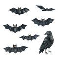 Bat, Raven. Halloween Party Illustration. Watercolor drawing Royalty Free Stock Photo