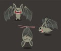 Bat set 1