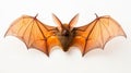 Orange-winged Bat In Dark Crimson And Light Brown: Aerial Photography Installations By Frieke Janssens