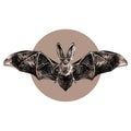 Bat sketch vector graphics