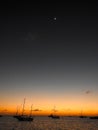 Bat Sunset and Moon Royalty Free Stock Photo