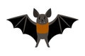 Bat. Vampire bat vector illustration scary halloween flying isolated icon