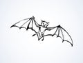 Bat. Vector drawing
